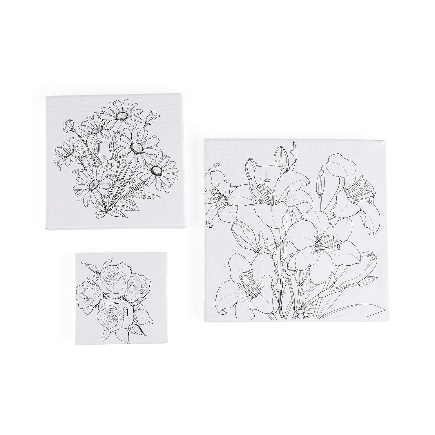 3-Piece Floral Canvas Painting Set- Rose, Daisy, Lily Canvases with Easel, 12 Watercolors & Brushes