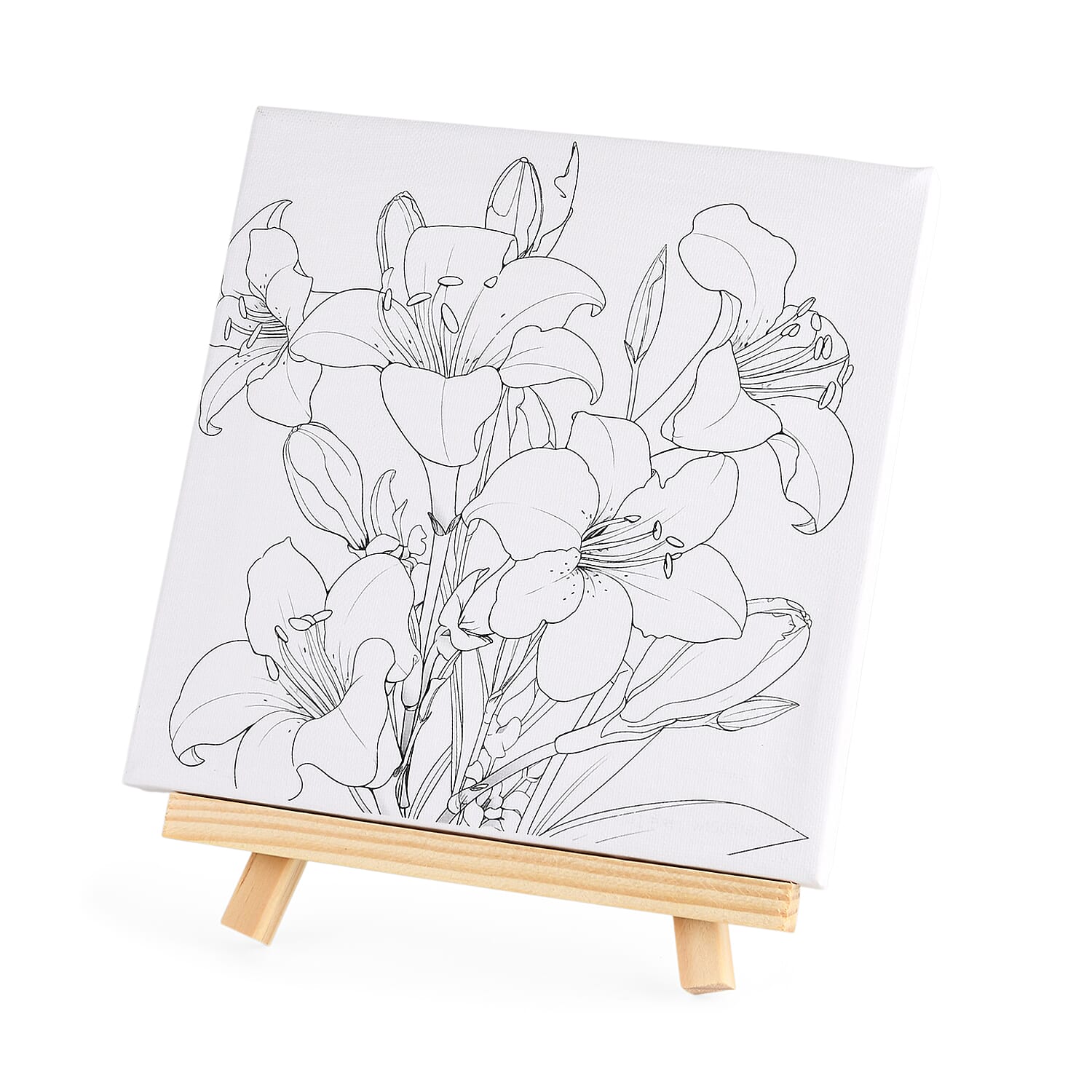 3-Piece Floral Canvas Painting Set- Rose, Daisy, Lily Canvases with Easel, 12 Watercolors & Brushes