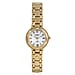 KRUG BAUMEN Charleston Quartz Movt. 3ATM Water Resistant White Dial Ladies Diamond Watch with Gold Colour Stainless Steel Strap and Gold-Tone Case