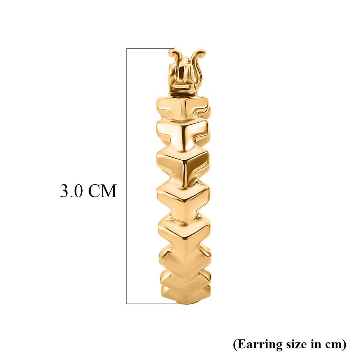 Bronzella Collection - EverTrue Full Hoop Earring with Clasp in 18K Gold Plating