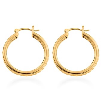 https://tjcuk.sirv.com/Products/82/2/8229432/EverTrue-Hoop-Earring-in-Yellow-Gold-Tone_8229432_3.jpg?w=342&h=342