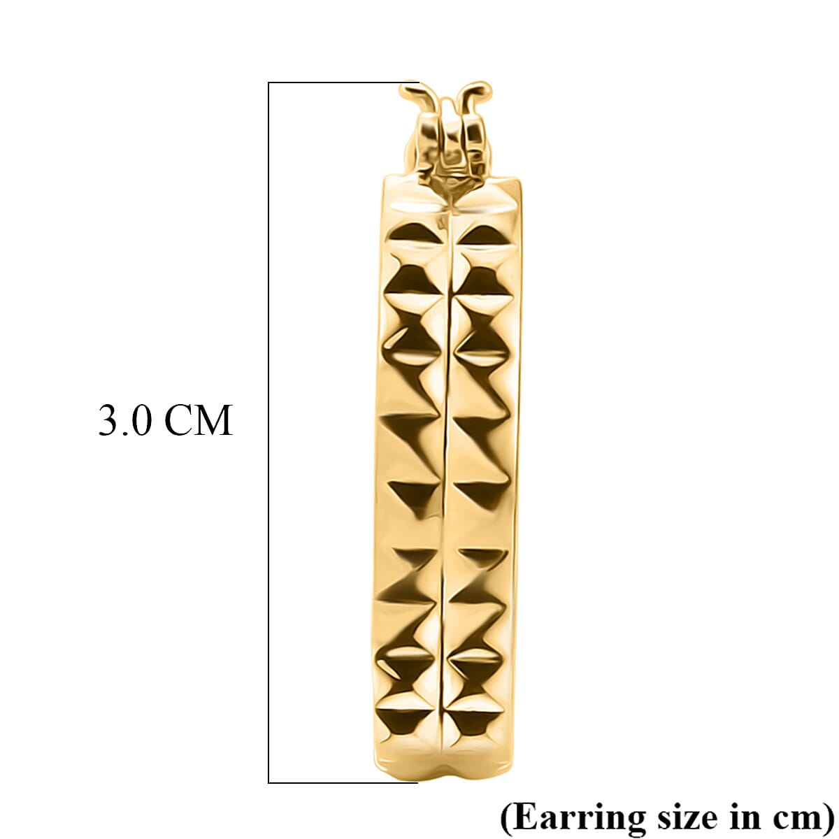 Bronzella Collection - EverTrue Hoop Earring in 18K Gold Plating