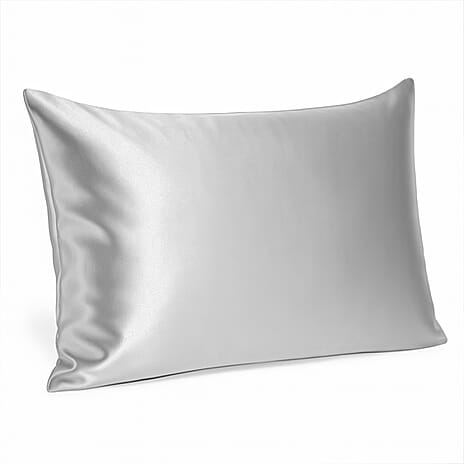 THE BEST SILK OFFER OF 2025 - Nine Mulberry Silk Pillow Cover - Platinum