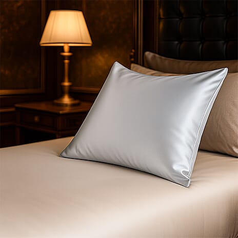 THE BEST SILK OFFER OF 2025 - Nine Mulberry Silk Pillow Cover - Platinum