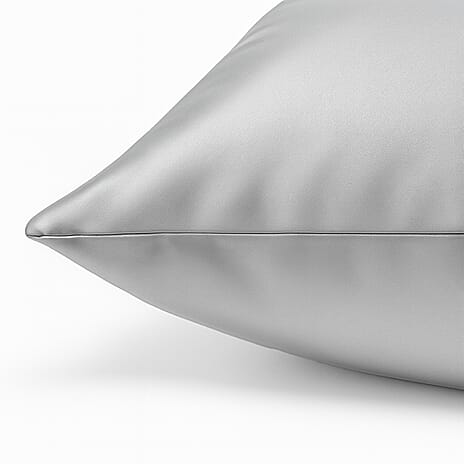 THE BEST SILK OFFER OF 2025 - Nine Mulberry Silk Pillow Cover - Platinum