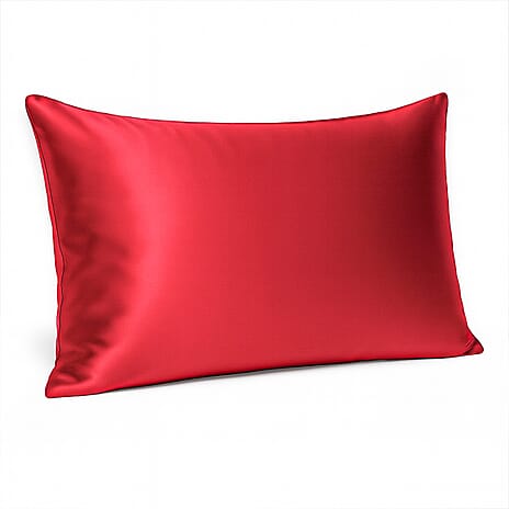 THE BEST SILK OFFER OF 2025 --Cloud Nine Mulberry Silk Pillow Case - Red