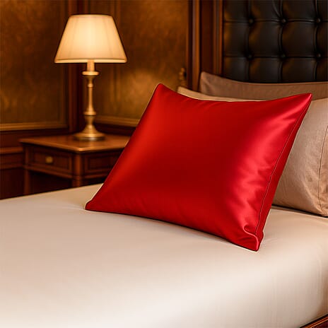 THE BEST SILK OFFER OF 2025 --Cloud Nine Mulberry Silk Pillow Case - Red