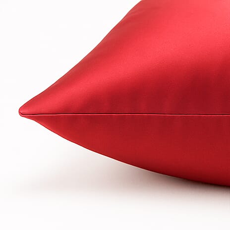 THE BEST SILK OFFER OF 2025 --Cloud Nine Mulberry Silk Pillow Case - Red
