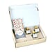 LIVMORE 3 Piece Reed Diffuser Collection - Winter Woods, Snowlace & Powder Blossoms and Northern Lights With Reeds amd 3 Fragrance Sachets