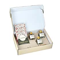 LIVMORE 3 Piece Reed Diffuser Collection - Himalayan Trail, Forest Wind and Vintage Heaven With Reeds and 3 Fragrance Sachets