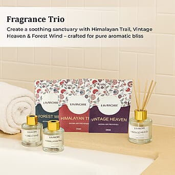 https://tjcuk.sirv.com/Products/82/3/8231967/LIVMORE-3-Piece-Reed-Diffuser-Collection-Oudh-jasmine-Amber-Oudh-Rose-_8231967_2.jpg?w=342&h=342