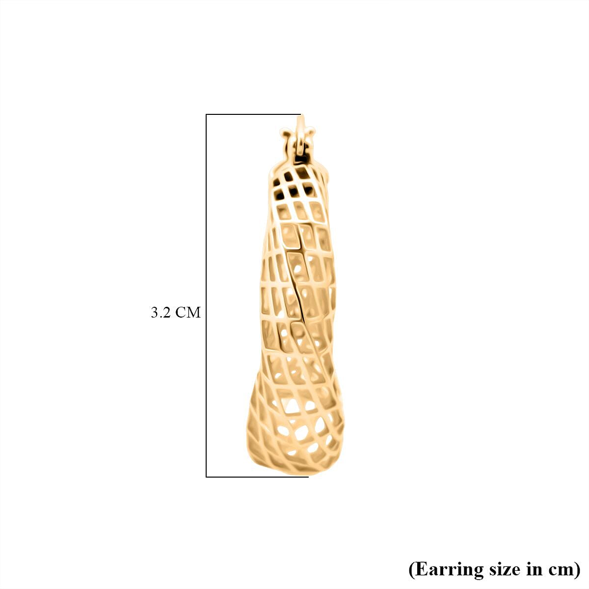 Sterling Silver Earring with Clasp in Yellow Gold Plating, Silver Wt. 6.80 Gms.