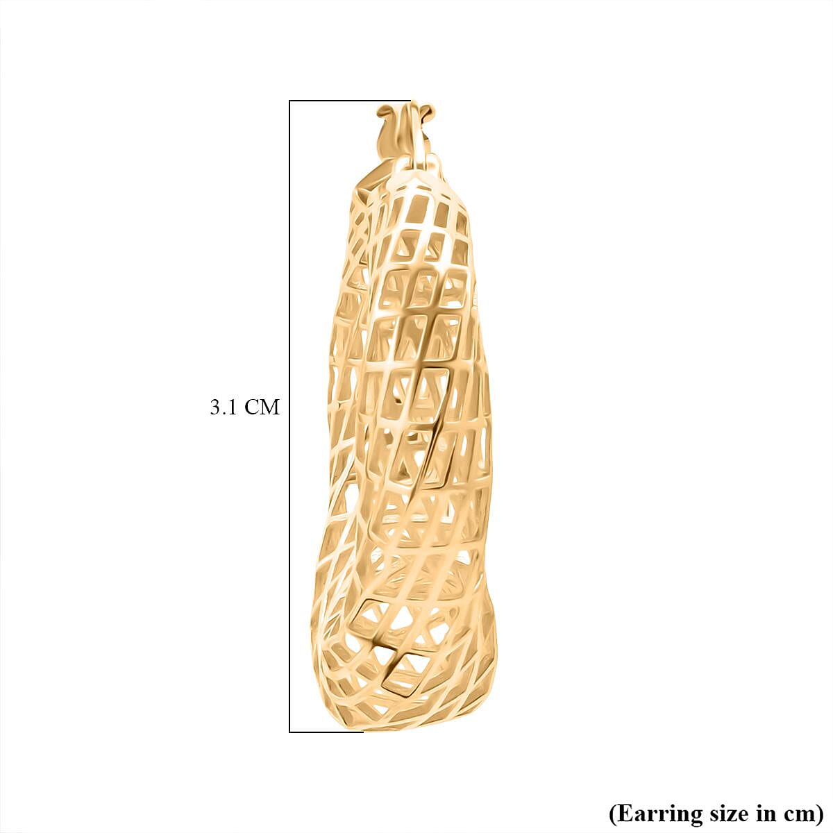 Sterling Silver Earring with Clasp in Yellow Gold Plating, Silver Wt. 6.75 Gms.