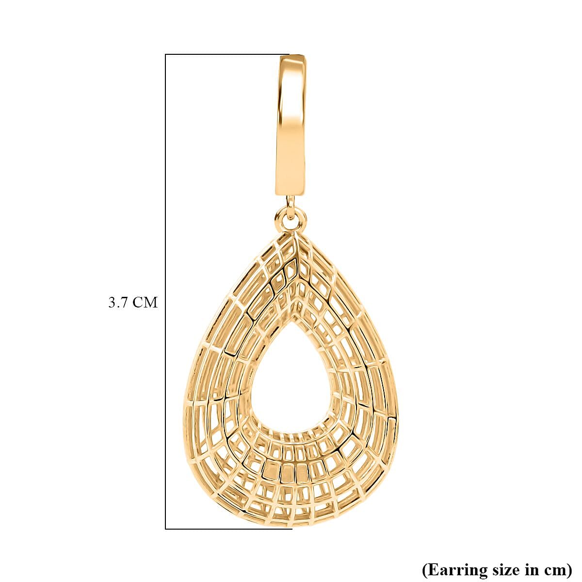 Sterling Silver Earring with Hoop in Yellow Gold Plating, Silver Wt. 5.55 Gms.