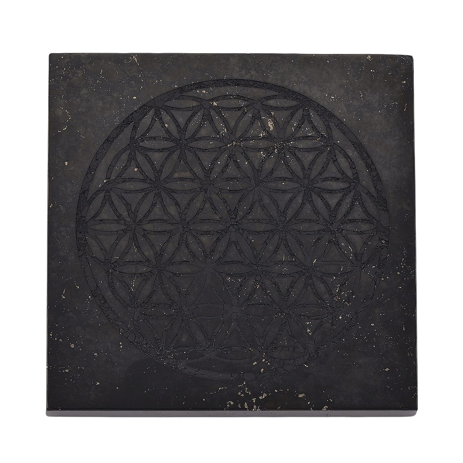 Natural Shungite Fullerene Embossed Square Tile 1100.00 Ct.