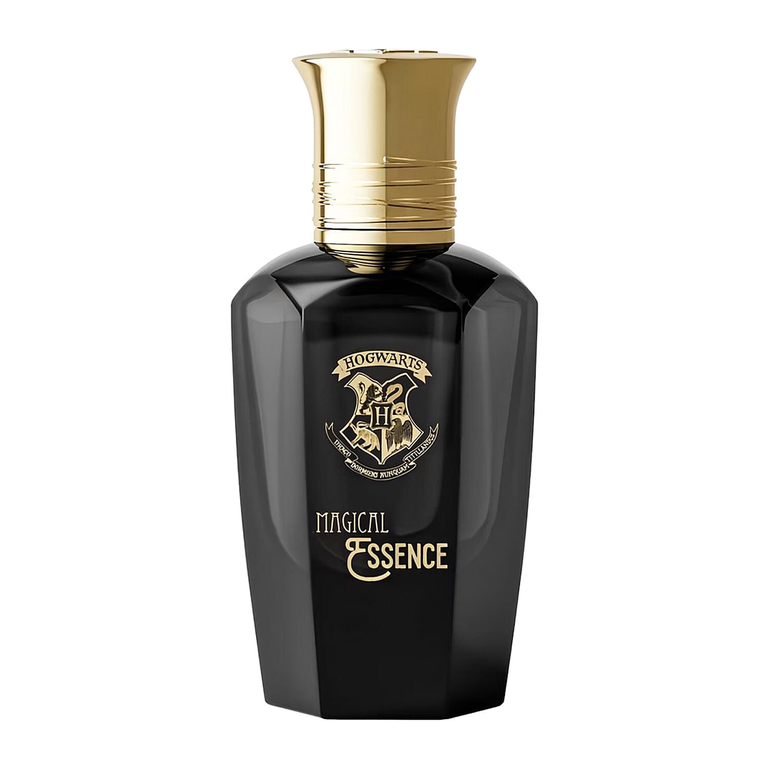 Harry Potter Magical Essence Men Ambition EDP - 100ml