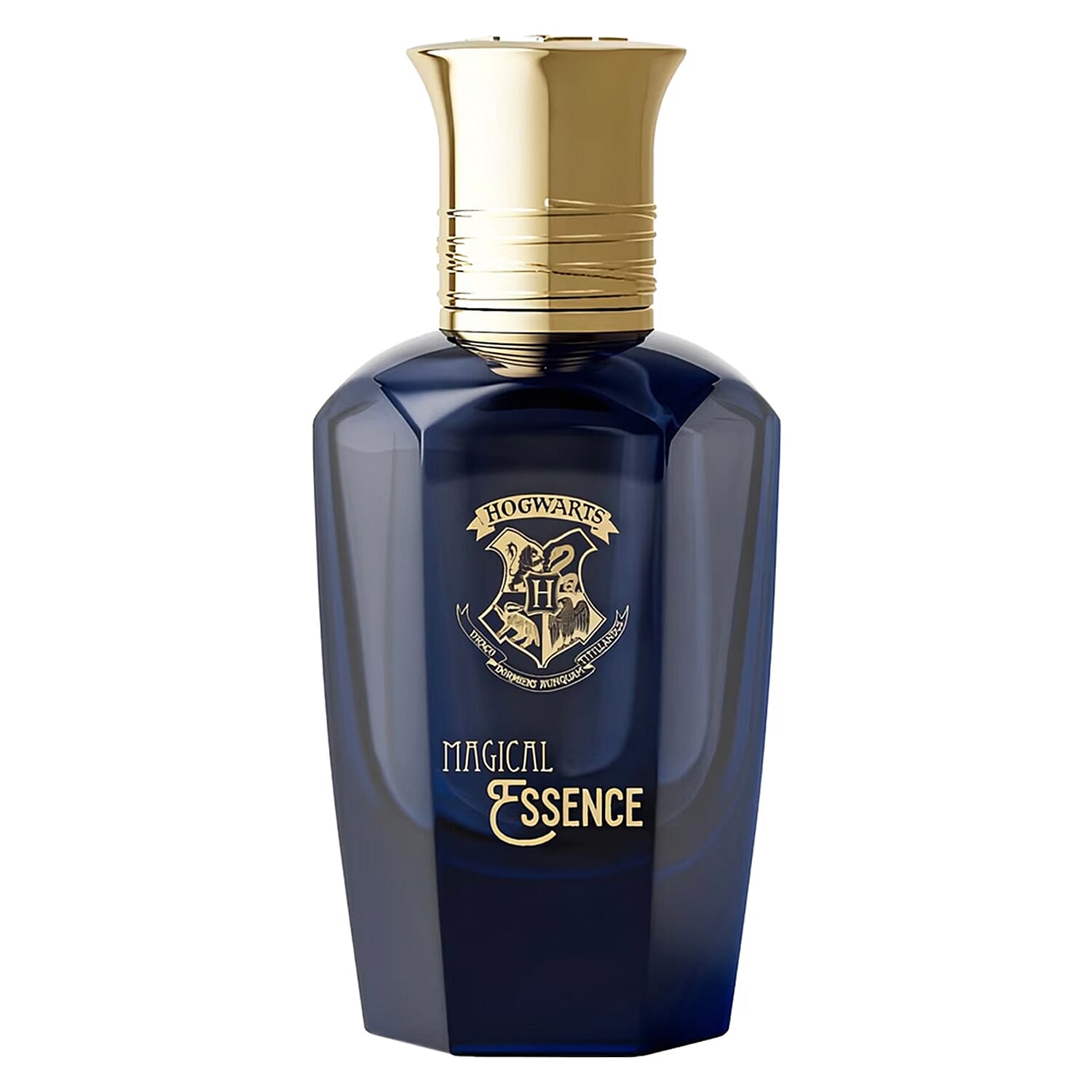 Harry Potter Magical Essence Men Wisdom EDP - 100ml