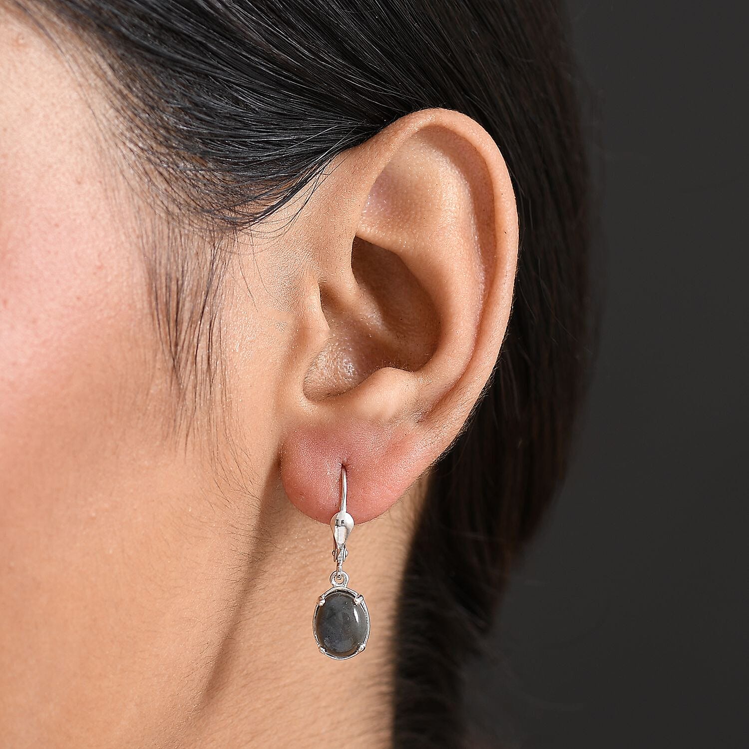 D'Joy Labradorite Earring in Platinum Overlay Sterling Silver 3.83 Ct.