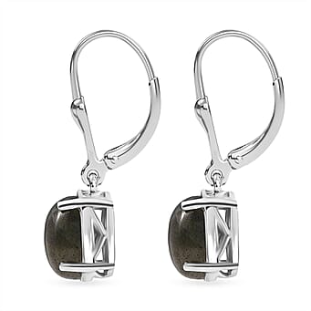 https://tjcuk.sirv.com/Products/82/4/8247518/D-Joy-Labradorite-Earring-in-Platinum-OverlaySterling-Silver-3-838-Ct_8247518_3.jpg?w=342&h=342