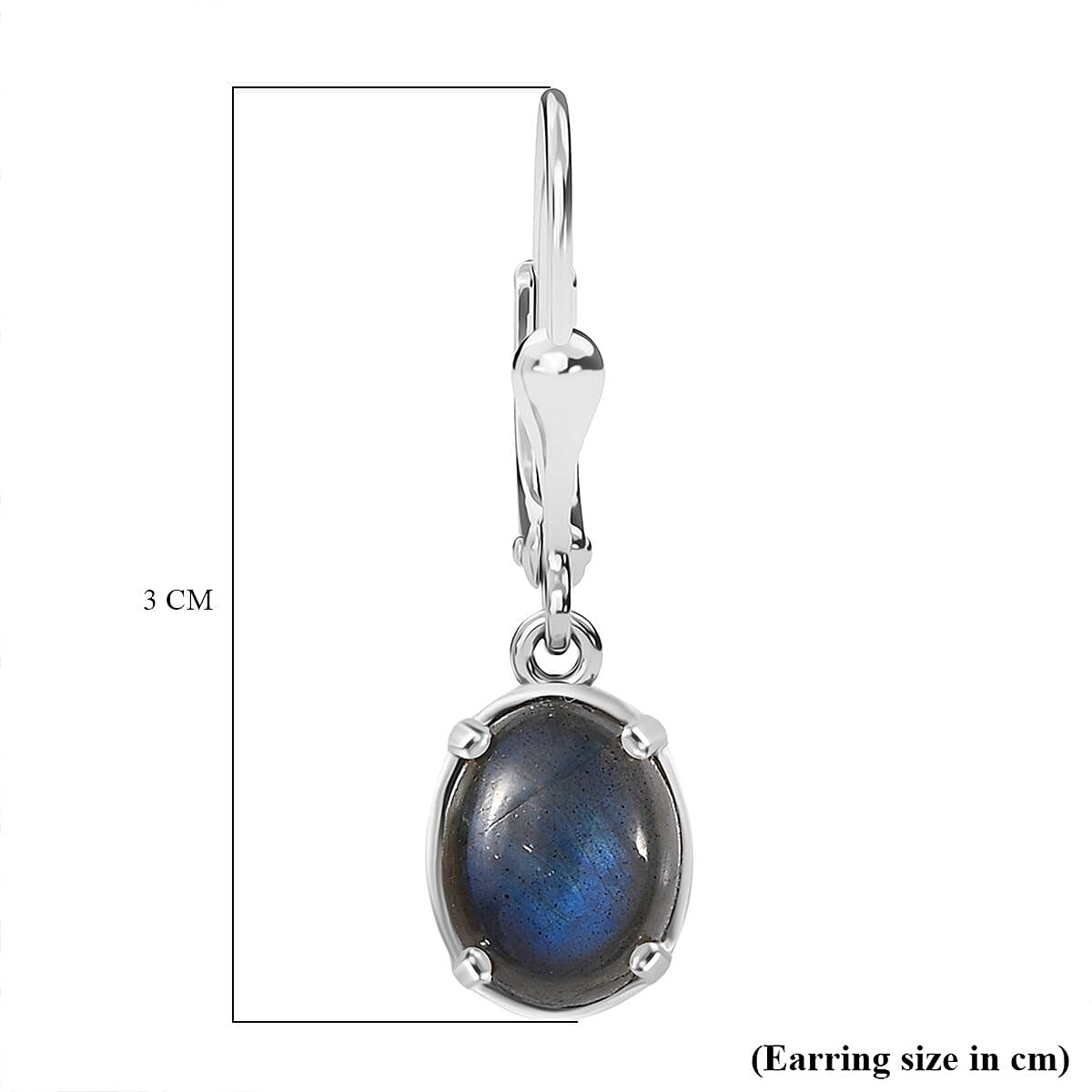 D'Joy Labradorite Earring in Platinum Overlay Sterling Silver 3.83 Ct.