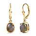 D'Joy Labradorite Earring in Platinum Overlay Sterling Silver 3.83 Ct.