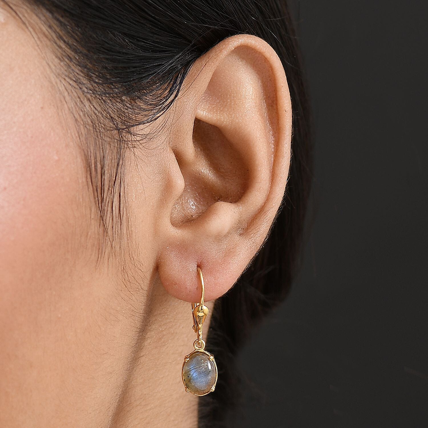 D'Joy Labradorite Earring in Yellow Gold Plated Sterling Silver 3.83 Ct.