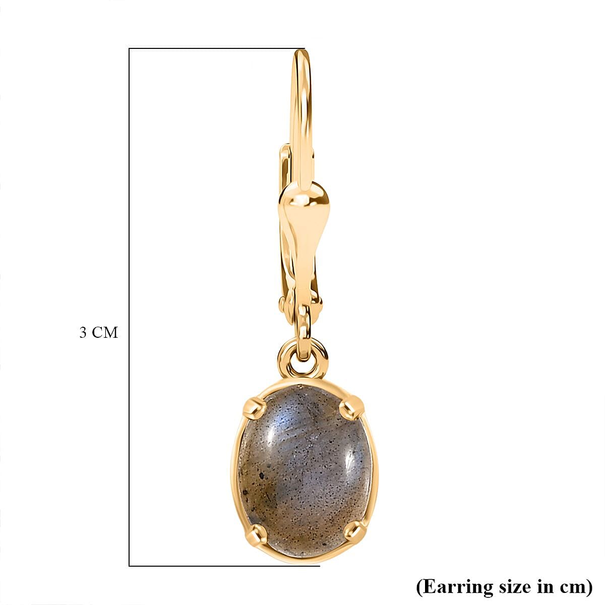 D'Joy Labradorite Earring in Yellow Gold Plated Sterling Silver 3.83 Ct.