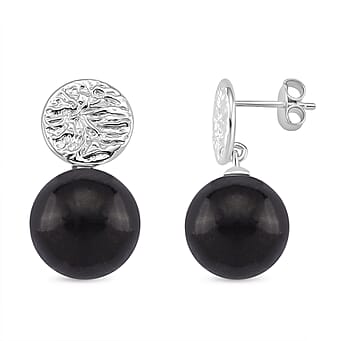 https://tjcuk.sirv.com/Products/82/4/8248796/D-joy-Shungite-Earring-with-Push-Back-in-Rhodium-Overlay-Sterling-Silv_8248796.jpg?w=342&h=342