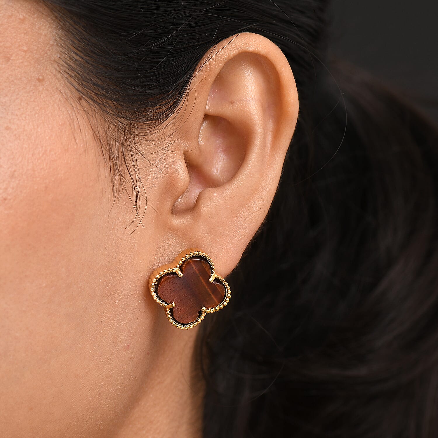 EverTrue Red Tiger Eye Earring with Push Back in Yellow Gold Plated 17.82 Ct.