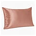 LIVMORE 100% Mulberry Silk Luxury Pillow Cover with MOP Button Closure - Beige