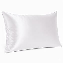 LIVMORE 100% Mulberry Silk Luxury Pillow Cover with MOP Button Closure