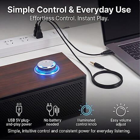 Bliss - Beyond E-3513 Brown Bluetooth 5.4 Soundbar - 6W Dual Channel, USB 5V Powered (370 mm) - Brown