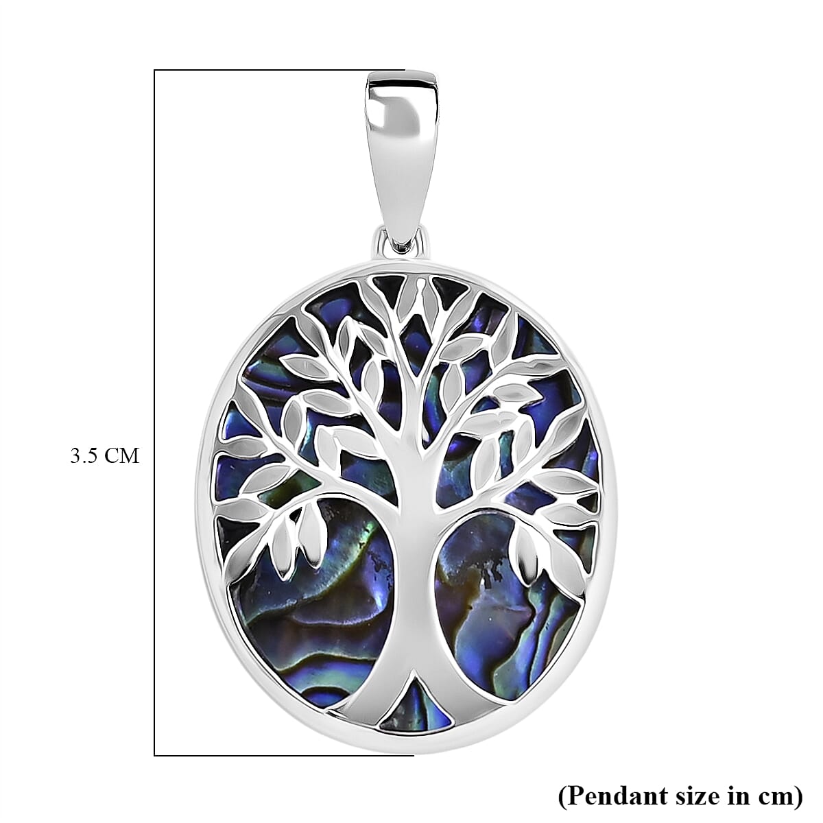 Abalone Shell Pendant in Sterling Silver