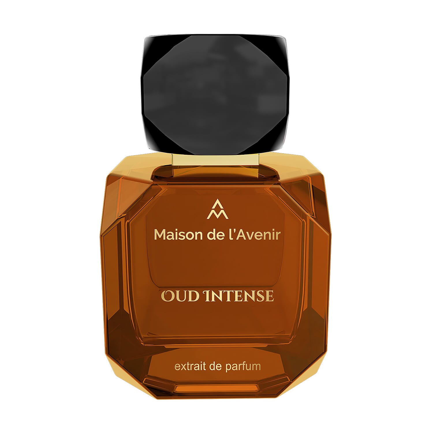 Maison de l'Avenir Oud Intense Eau de Parfum Unisex - 100ml