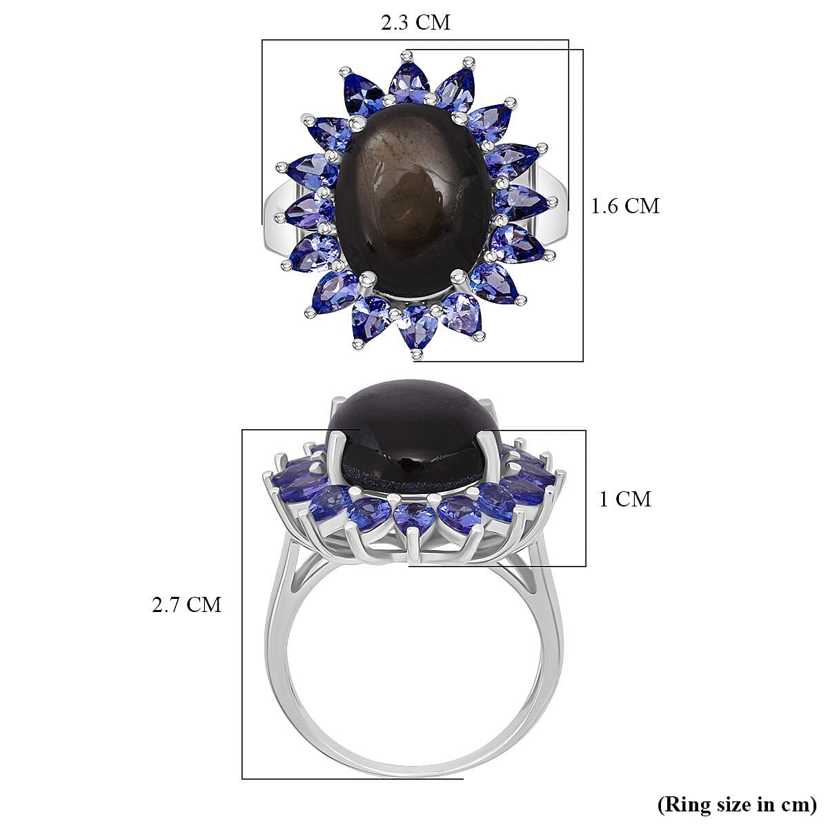 D'Joy Chantaburi Black Star Sapphire & Tanzanite Ring in Rhodium Overlay Sterling Silver 17.66 Ct.