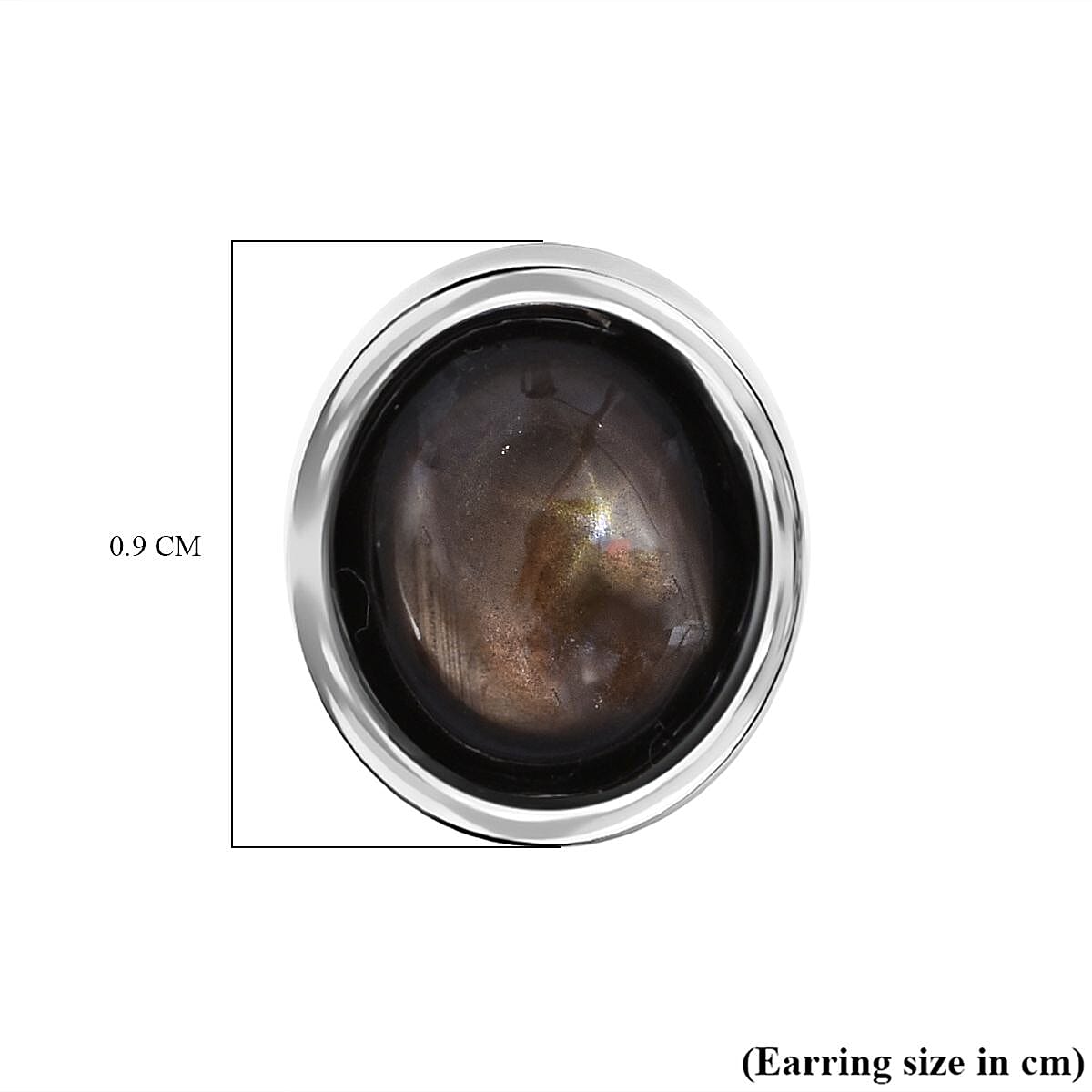 D'Joy Chantaburi  Black Star Sapphire Earring with Push Back in Rhodium Overlay Sterling Silver 5.54 Ct.