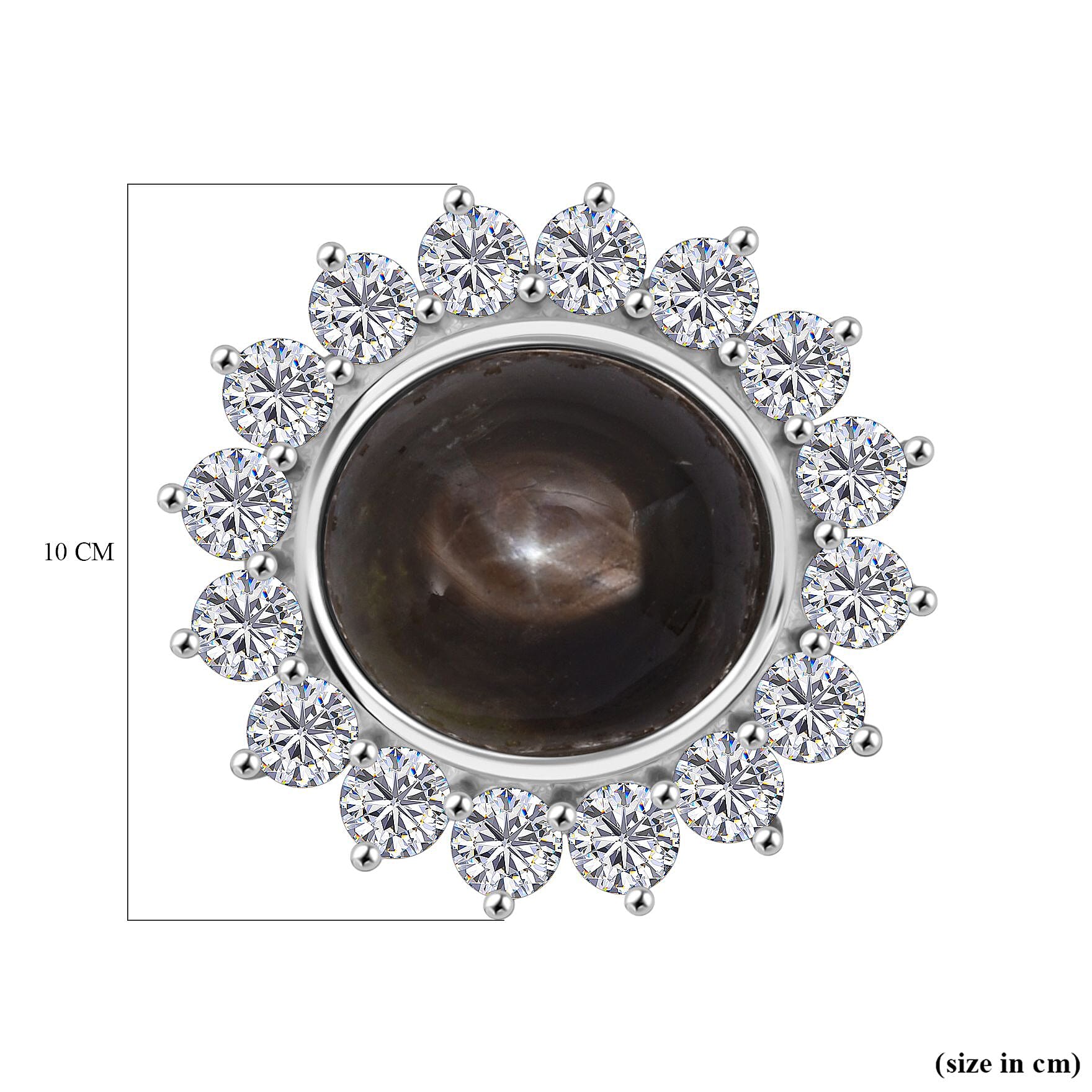 D'Joy Chantaburi Black Star Sapphire & Natural Zircon Brooch in Rhodium Overlay Sterling Silver 12.07 Ct.