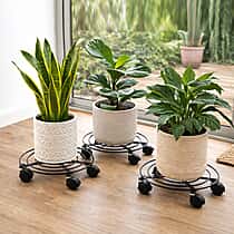 LIVMORE Pot Mover with Rolling Casters with Locking - Set of 3 (max weight 15kg-27cm diameter)