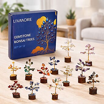 https://tjcuk.sirv.com/Products/82/7/8279046/Livmore-Set-of-12-Gemstone-Bonsai-Trees-5-08cm-Multi-Colour_8279046_1.jpg?w=342&h=342