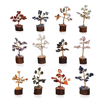 https://tjcuk.sirv.com/Products/82/7/8279046/Livmore-Set-of-12-Gemstone-Bonsai-Trees-5-08cm-Multi-Colour_8279046_2.jpg?w=342&h=342