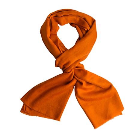 Valissiere 100% Cashmere Wool Scarf (Size 195 X 70 Cm) - Brown