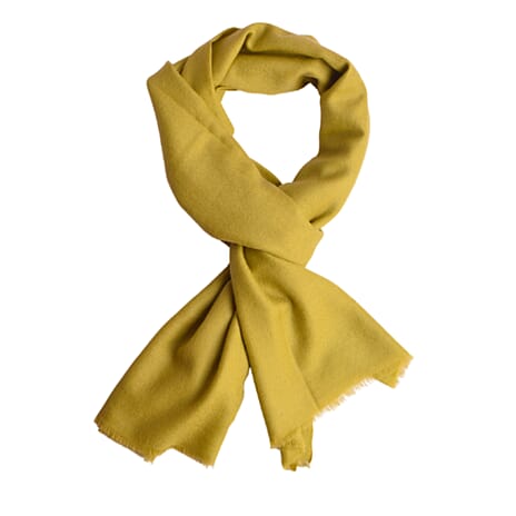 Valissiere 100% Cashmere Wool Scarf (Size 195 X 70 Cm) - Sage