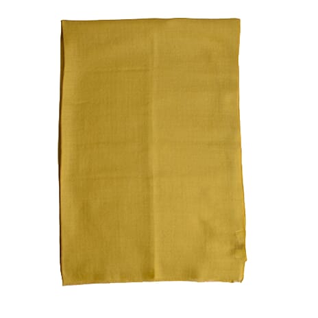 Valissiere 100% Cashmere Wool Scarf (Size 195 X 70 Cm) - Sage