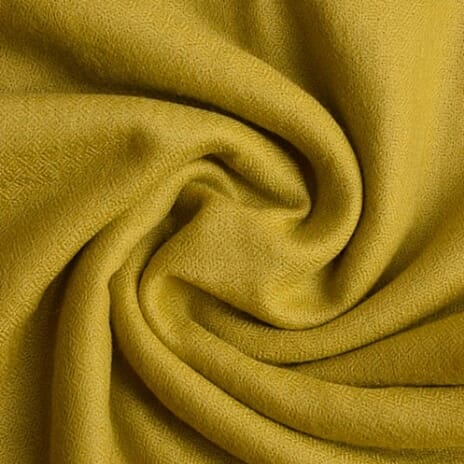 Valissiere 100% Cashmere Wool Scarf (Size 195 X 70 Cm) - Sage