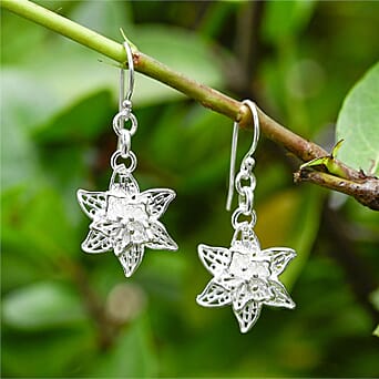 https://tjcuk.sirv.com/Products/82/8/8286505/Sterling-Silver-Earring-Silver-Wt-5-7-Gms_8286505_1.jpg?w=342&h=342