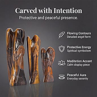 https://tjcuk.sirv.com/Products/82/8/8286916/8286916_3.jpg?w=342&h=342