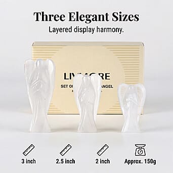 https://tjcuk.sirv.com/Products/82/8/8286950/8286950_2.jpg?w=342&h=342