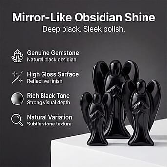 https://tjcuk.sirv.com/Products/82/8/8286954/8286954_1.jpg?w=342&h=342