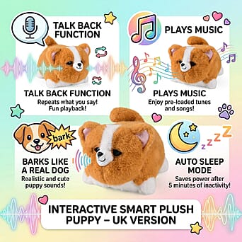 https://tjcuk.sirv.com/Products/82/8/8287621/8287621_1.jpg?w=342&h=342
