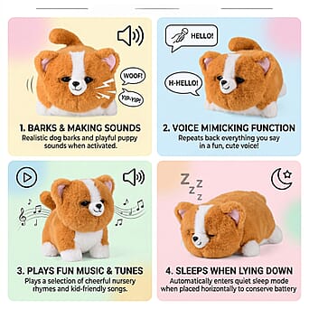 https://tjcuk.sirv.com/Products/82/8/8287621/8287621_2.jpg?w=342&h=342